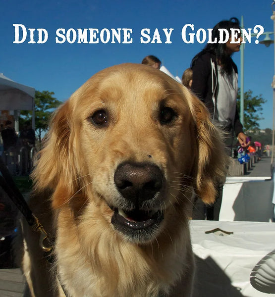 The Golden Rule